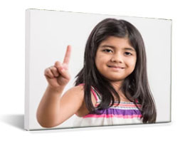 Premium Canvas Prints